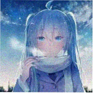 用户